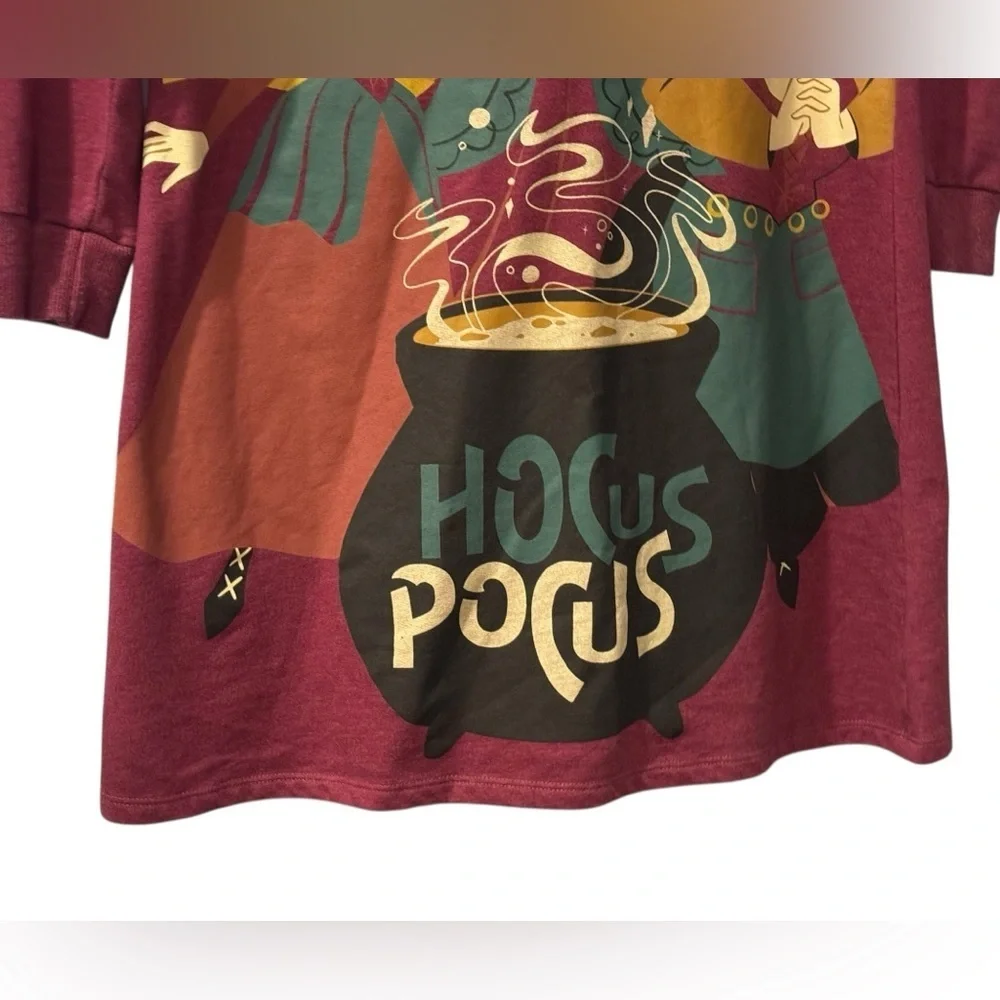 Disney’s Hocus Pocus Girl’s Halloween Long Sleeve Hooded Maroon Dress: L:10/12